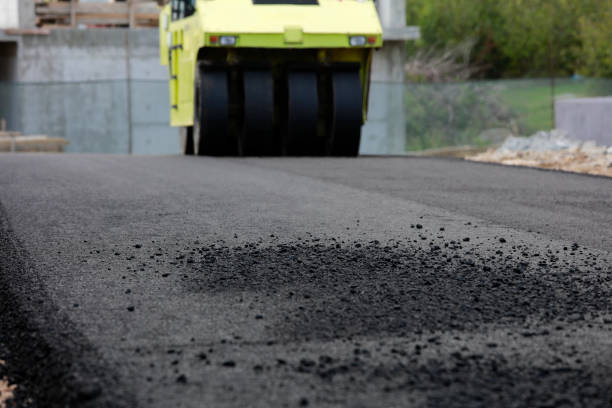 Best Residential Paver Driveway  in Corpus Christi, TX